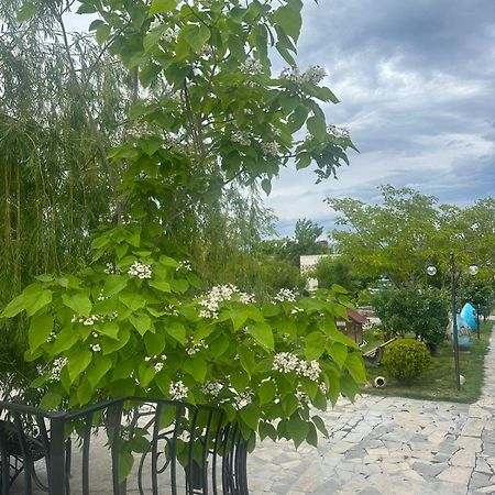 Ralina Restaurant And Hotel Davalinskiy Tsemzavod エクステリア 写真