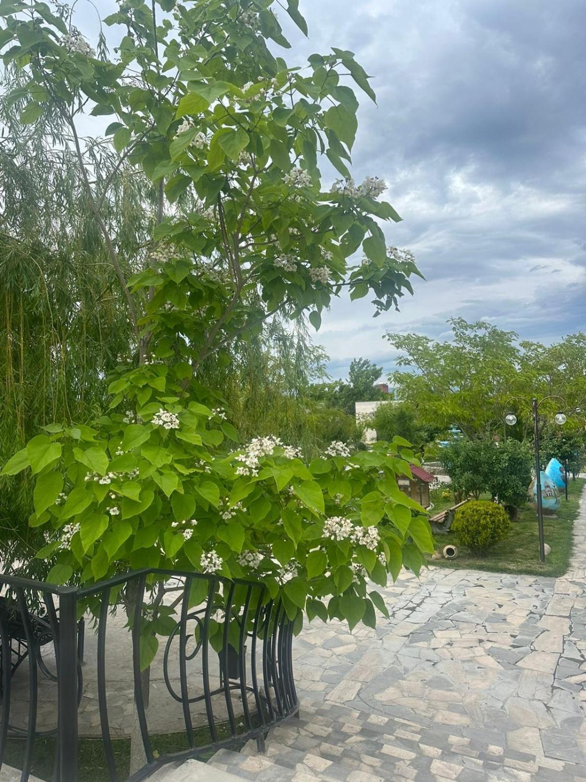Ralina Restaurant And Hotel Davalinskiy Tsemzavod エクステリア 写真